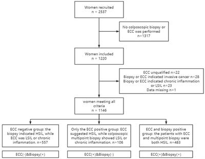 Additional role of ECC in the detection and treatment of cervical HSIL